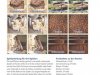 Unterrichtsmaterial_Klasse_3-5_akt-022