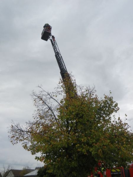 Feuerwehr 2019