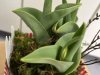 Fruehlingsgruss22_2