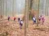 Im-Wald-3