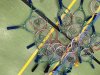 Tennis_2023